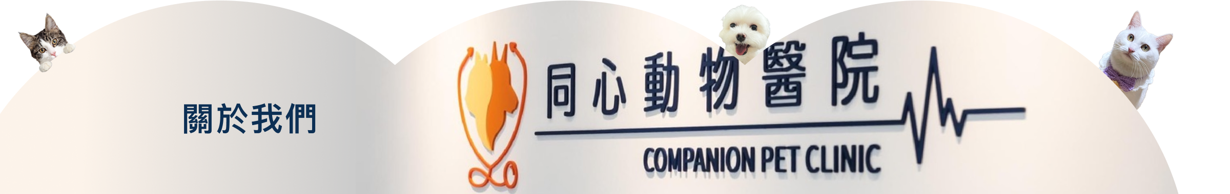 關於我們